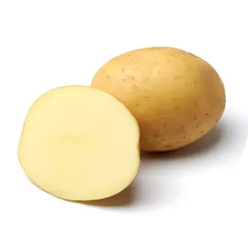 Медисон