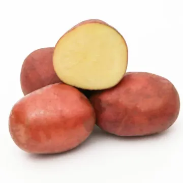 Михайлівський