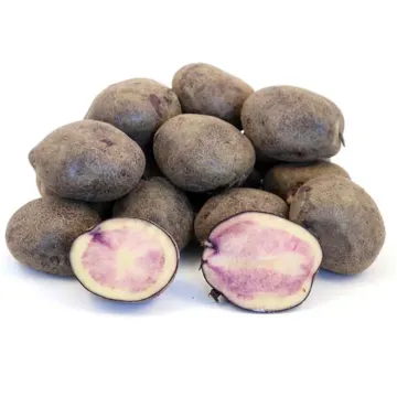 Мусинский