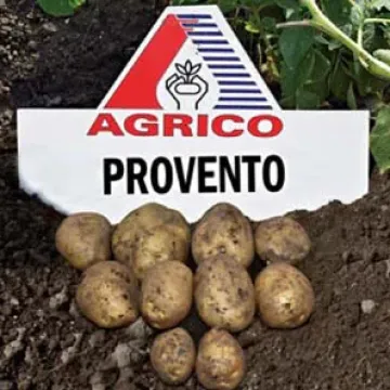 Провенто