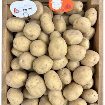 Ривера