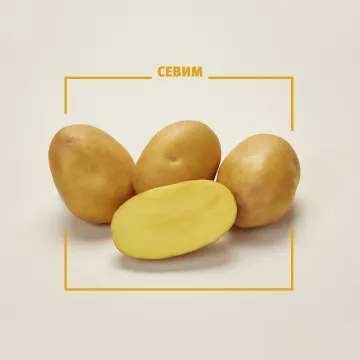 Севим