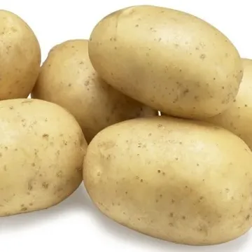 Щедрик