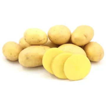 SWEDISH