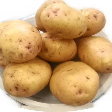Утро