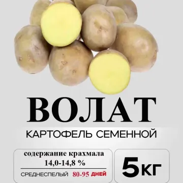 Волат