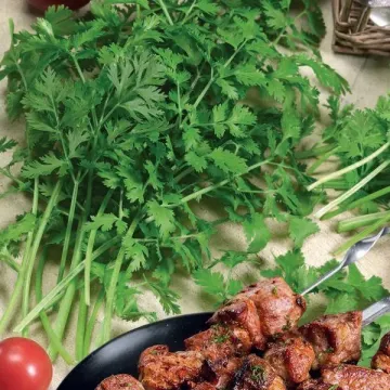 Шашлычный