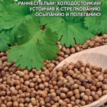 Стимул