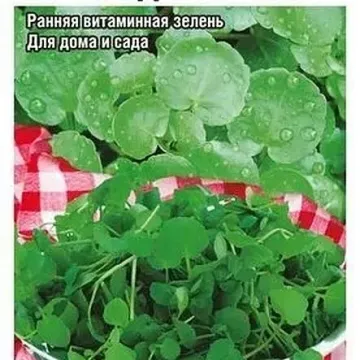 Мечта Дербента