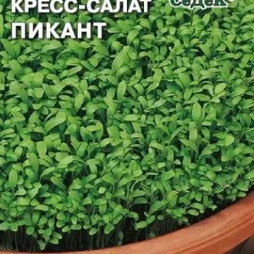 Пикант