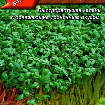 Весенний