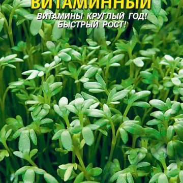 Витаминный