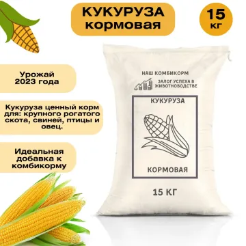 240311 НС