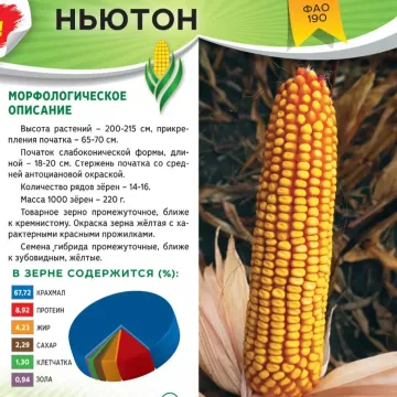 94 АХА 8