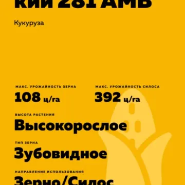BM 281 ASV