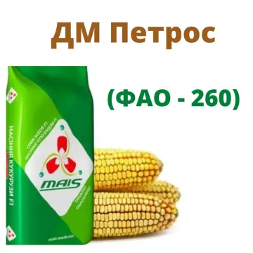 ДМ Петрос