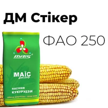 ДМ Стикер