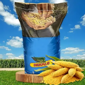 ЕК 2974