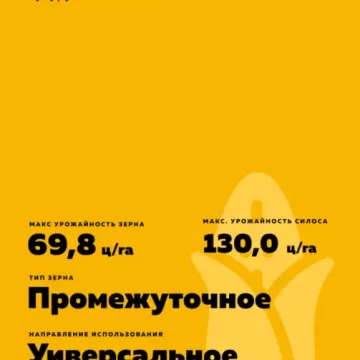 Ес Макила