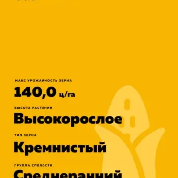 Галактика