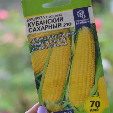 Исбери
