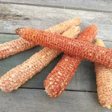KAZACHKA M