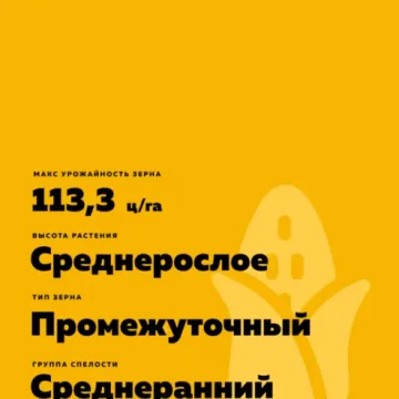 КХБ 9252