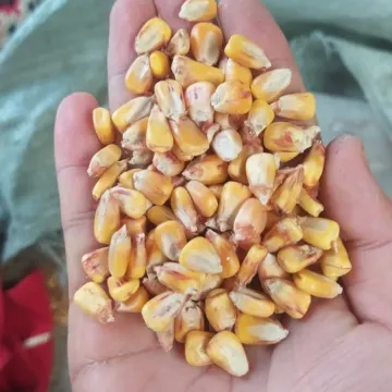 КР 232 УМ