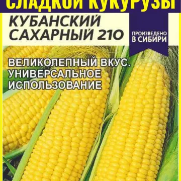 КУБАНСКИЙ 500 СВ