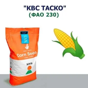 КВС Таско