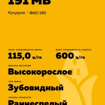 ЛАДОЖСЬКИЙ 191 МВ