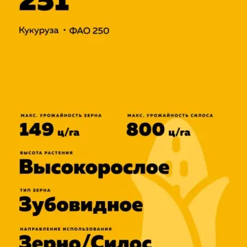 ЛАДОЖСКИЙ 251