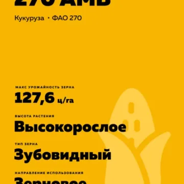 ЛАДОЖСКИЙ 270 АМВ
