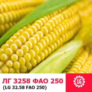 ЛГ 3258