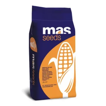 MAS 21E
