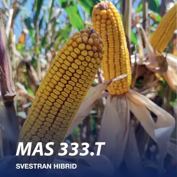 МАС 333Т