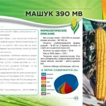 МАШУК 390 МВ