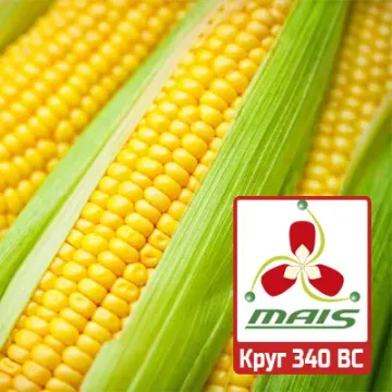 ОДИССЕЙ 340 СВ