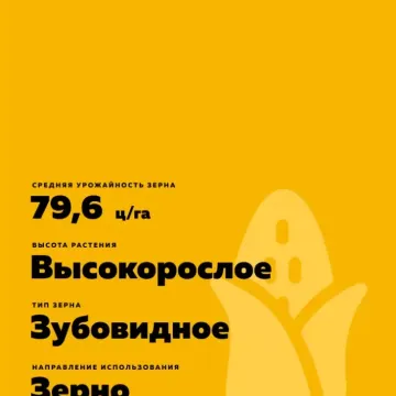 П 9025