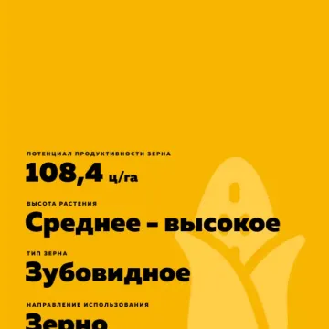П 9985