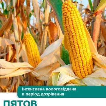 Пятов