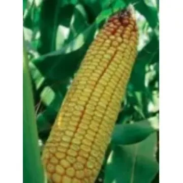 ПР38Р92