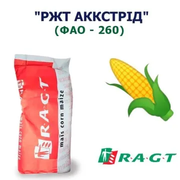 РЖТ Аккстрид