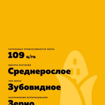 РЖТ Волкоккс