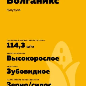 РЖТ Волганиккс