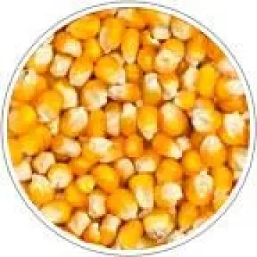 РИК 340 МВ