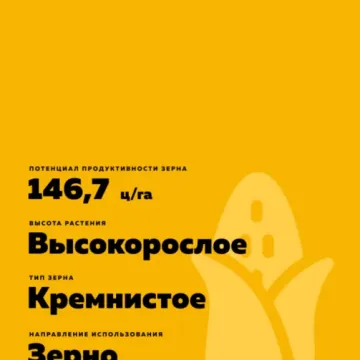 РМ 146