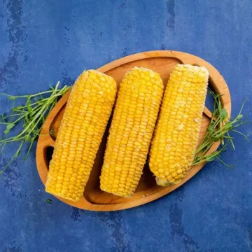 Русич