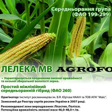 SAT 260 MV