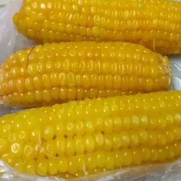 Смотрич МВ